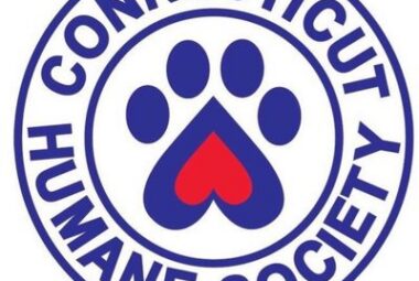 CT Humane Society logo that includes paw print made out of an upside down blue and red heart.